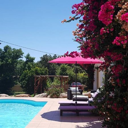 Cyrnea B&B - Adults Only Porto-Vecchio  Exterior photo