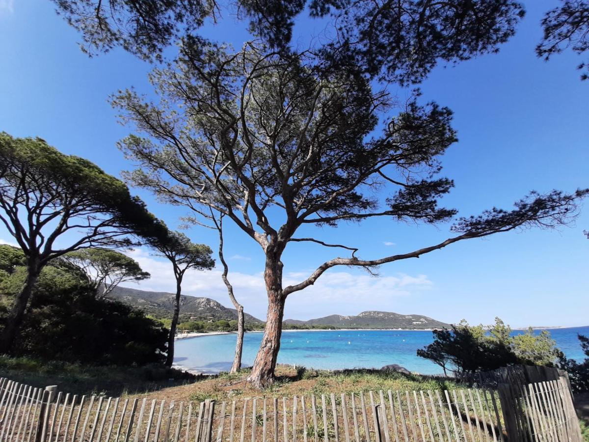 Cyrnea B&B - Adults Only Porto-Vecchio  Exterior photo