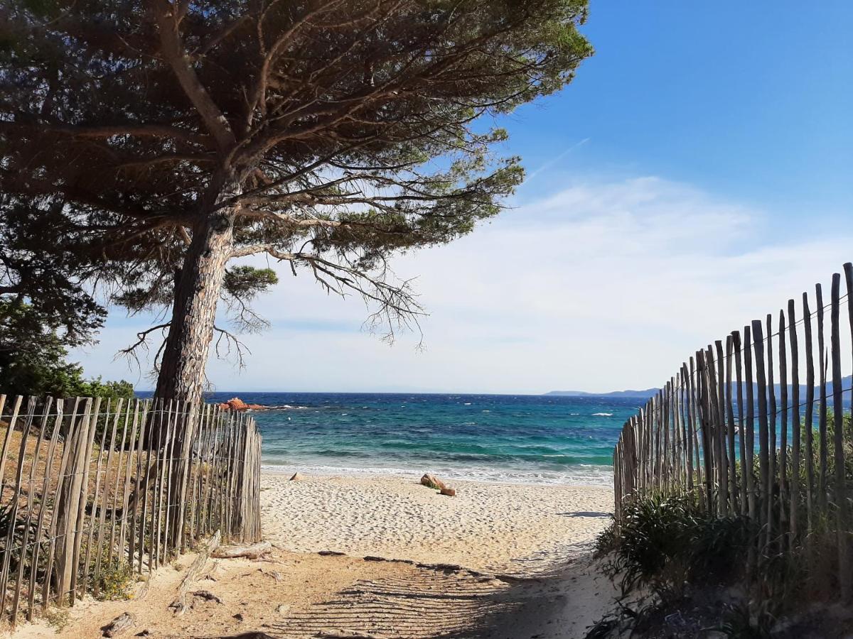 Cyrnea B&B - Adults Only Porto-Vecchio  Exterior photo
