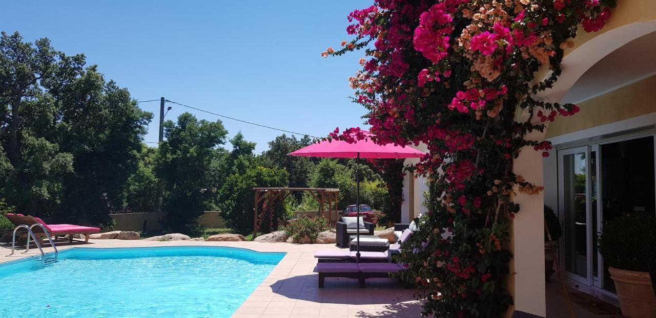 Cyrnea B&B - Adults Only Porto-Vecchio  Exterior photo